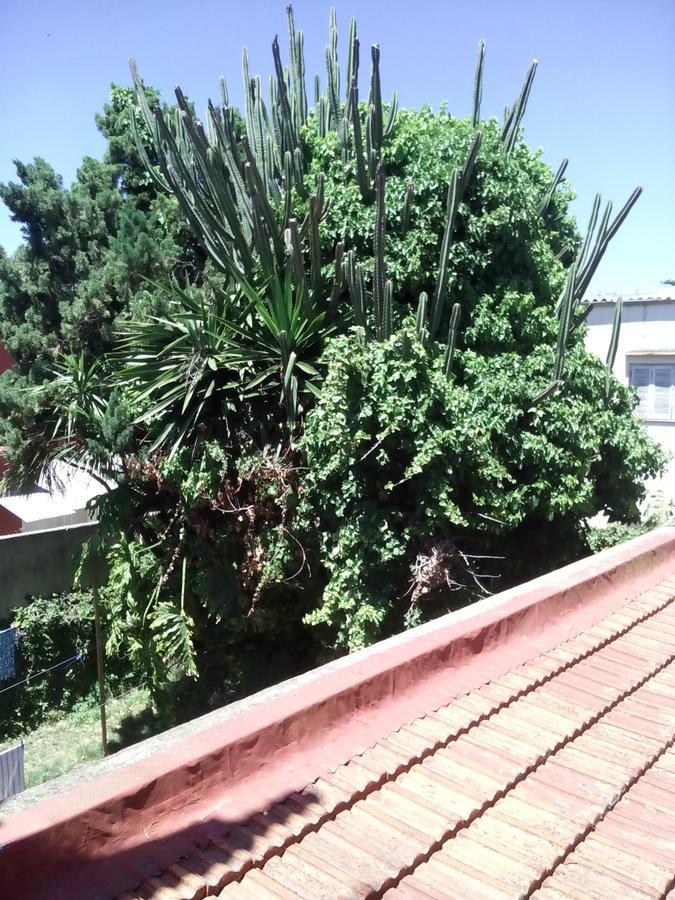 Hosteria Almirante Brown Mar del Plata Eksteriør bilde